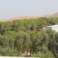 Oda Özellikleri Galerisi