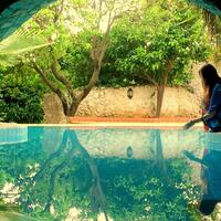 Havuz & Plaj Galerisi