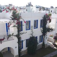 Genel Görünüm Galerisi