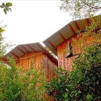 Oda Özellikleri Galerisi