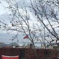 Oda Özellikleri Galerisi