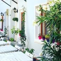 Genel Görünüm Galerisi