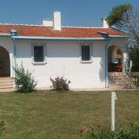 Genel Görünüm Galerisi