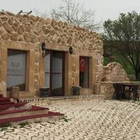 Lobi & Oturma Alanları Galerisi