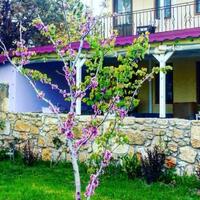 Oda Özellikleri Galerisi