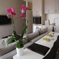 Lobi & Oturma Alanları Galerisi