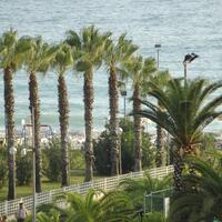 Genel Görünüm Galerisi