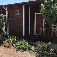 Oda Özellikleri Galerisi