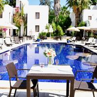 Genel Görünüm Galerisi