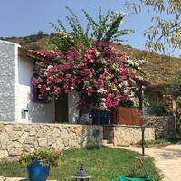 Genel Görünüm Galerisi