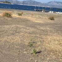 Havuz & Plaj Galerisi