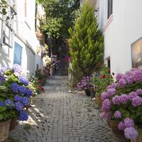 Lobi & Oturma Alanları Galerisi