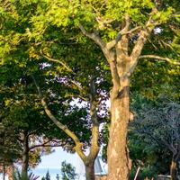 Havuz & Plaj Galerisi