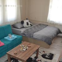 Oda Özellikleri Galerisi