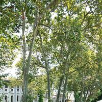 Oda Özellikleri Galerisi