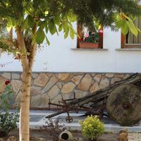 Lobi & Oturma Alanları Galerisi