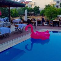 Havuz & Plaj Galerisi