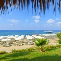 Havuz & Plaj Galerisi