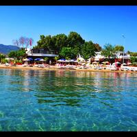 Havuz & Plaj Galerisi