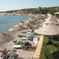 Havuz & Plaj Galerisi