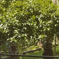 Oda Özellikleri Galerisi