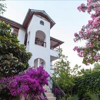 Genel Görünüm Galerisi