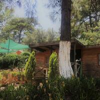 Oda Özellikleri Galerisi