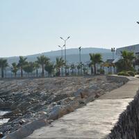 Havuz & Plaj Galerisi