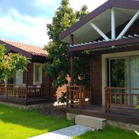 Genel Görünüm Galerisi