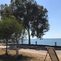 Genel Görünüm Galerisi