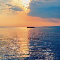 Havuz & Plaj Galerisi