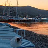 Havuz & Plaj Galerisi