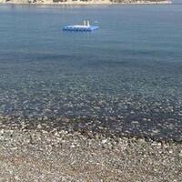 Havuz & Plaj Galerisi