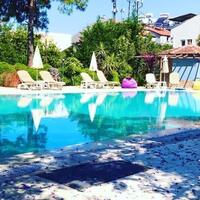 Havuz & Plaj Galerisi