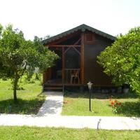 Genel Görünüm Galerisi