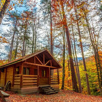 Genel Görünüm Galerisi