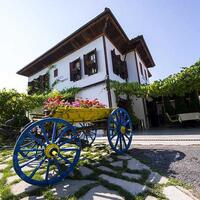 Genel Görünüm Galerisi