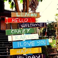 Genel Görünüm Galerisi