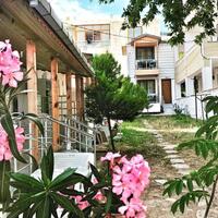 Genel Görünüm Galerisi