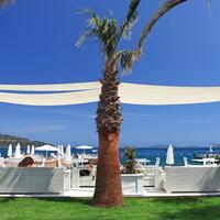 Genel Görünüm Galerisi