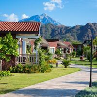 Genel Görünüm Galerisi