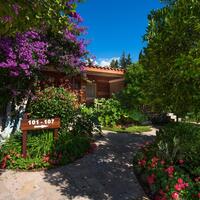 Oda Özellikleri Galerisi