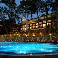 Genel Görünüm Galerisi