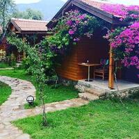 Genel Görünüm Galerisi