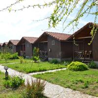 Genel Görünüm Galerisi