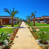 Genel Görünüm Galerisi