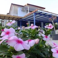 Genel Görünüm Galerisi