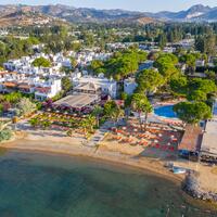 Havuz & Plaj Galerisi