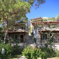 Genel Görünüm Galerisi