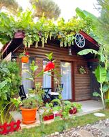 Oda Özellikleri Galerisi